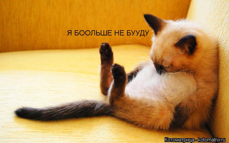 Я БООЛЬШЕ НЕ БУУДУ... Котоматрица: Я БООЛЬШЕ НЕ БУУДУ