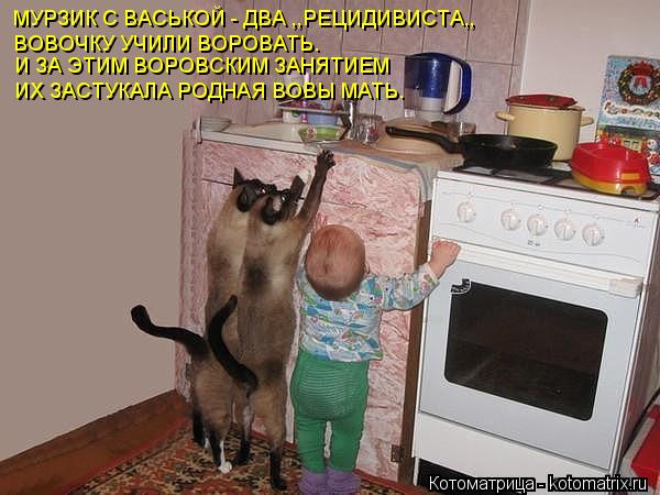 МУРЗИК С ВАСЬКОЙ - ДВА ,,РЕЦИДИВИСТА,, ВОВОЧКУ УЧИЛИ ВОРОВАТЬ. И ЗА ЭТИМ ВОРОВСКИМ ЗАНЯТИЕМ ИХ ЗАСТУК... Котоматрица: МУРЗИК С ВАСЬКОЙ - ДВА ,,РЕЦИДИВИСТА,, ВОВОЧКУ УЧИЛИ ВОРОВАТЬ. И ЗА ЭТИМ ВОРОВСКИМ ЗАНЯТИЕМ ИХ ЗАСТУКАЛА РОДНАЯ ВОВЫ МАТЬ.