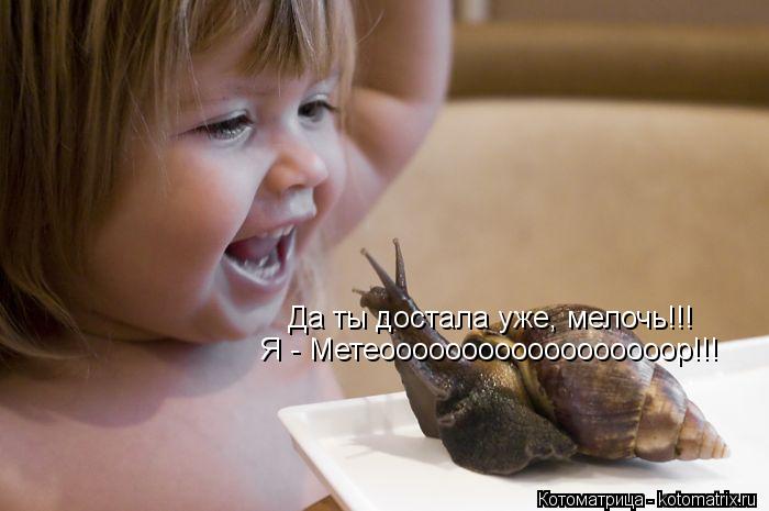 Да ты достала уже, мелочь!!! Я - Метеоооооооооооооооооор!!!... Котоматрица: Да ты достала уже, мелочь!!! Я - Метеоооооооооооооооооор!!!