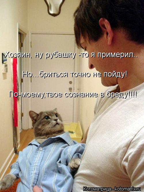 Хозяин, ну рубашку -то я примерил.. Но...бриться точно не пойду! По-моему,твое сознание в бреду!!!!... Котоматрица: Хозяин, ну рубашку -то я примерил.. Но...бриться точно не пойду! По-моему,твое сознание в бреду!!!!