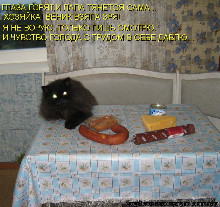 ГЛАЗА ГОРЯТ,И ЛАПА ТЯНЕТСЯ САМА... ХОЗЯЙКА! ВЕНИК ВЗЯЛА ЗРЯ! Я НЕ ВОРУЮ, ТОЛЬКО ЛИШЬ СМОТРЮ. И ЧУВСТ... Котоматрица: ГЛАЗА ГОРЯТ,И ЛАПА ТЯНЕТСЯ САМА... ХОЗЯЙКА! ВЕНИК ВЗЯЛА ЗРЯ! Я НЕ ВОРУЮ, ТОЛЬКО ЛИШЬ СМОТРЮ. И ЧУВСТВО ГОЛОДА С ТРУДОМ В СЕБЕ ДАВЛЮ...