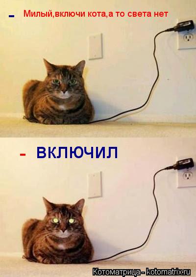 Милый,включи кота,а то света нет включил - -... Котоматрица: Милый,включи кота,а то света нет включил - -