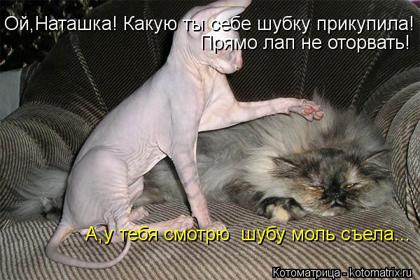 Ой,Наташка! Какую ты себе шубку прикупила! Прямо лап не оторвать! А,у тебя смотрю шубу моль съела...... Котоматрица: Ой,Наташка! Какую ты себе шубку прикупила! Прямо лап не оторвать! А,у тебя смотрю шубу моль съела...