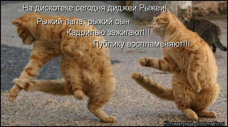 Рыжий папа, рыжий сын Кадрилью зажигают!!! Публику воспламеняют!!! На дискотеке сегодня диджеи Рыжеи!... Котоматрица: Рыжий папа, рыжий сын Кадрилью зажигают!!! Публику воспламеняют!!! На дискотеке сегодня диджеи Рыжеи!