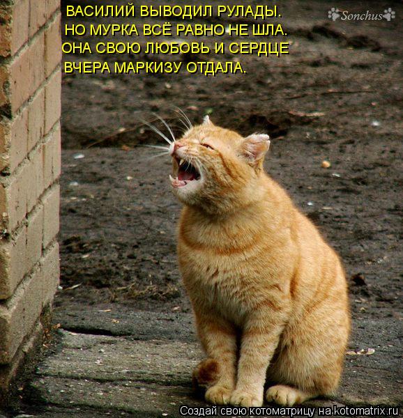 ВАСИЛИЙ ВЫВОДИЛ РУЛАДЫ. НО МУРКА ВСЁ РАВНО НЕ ШЛА. ОНА СВОЮ ЛЮБОВЬ И СЕРДЦЕ ВЧЕРА МАРКИЗУ ОТДАЛА.... Котоматрица: ВАСИЛИЙ ВЫВОДИЛ РУЛАДЫ. НО МУРКА ВСЁ РАВНО НЕ ШЛА. ОНА СВОЮ ЛЮБОВЬ И СЕРДЦЕ ВЧЕРА МАРКИЗУ ОТДАЛА.