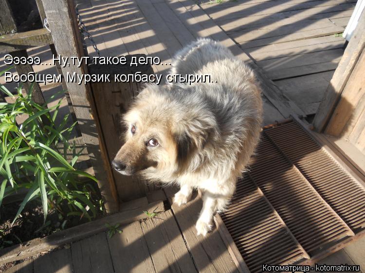 Эээээ...Ну,тут такое дело... Вообщем Мурзик колбасу стырил..... Котоматрица: Эээээ...Ну,тут такое дело... Вообщем Мурзик колбасу стырил..