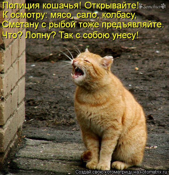 Полиция кошачья! Открывайте! К осмотру: мясо, сало, колбасу, Сметану с рыбой тоже предъявляйте. Что? ... Котоматрица: Полиция кошачья! Открывайте! К осмотру: мясо, сало, колбасу, Сметану с рыбой тоже предъявляйте. Что? Лопну? Так с собою унесу!