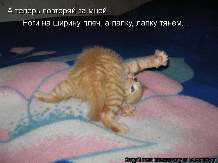 А теперь повторяй за мной: Ноги на ширину плеч, а лапку, лапку тянем...... Котоматрица: А теперь повторяй за мной: Ноги на ширину плеч, а лапку, лапку тянем...