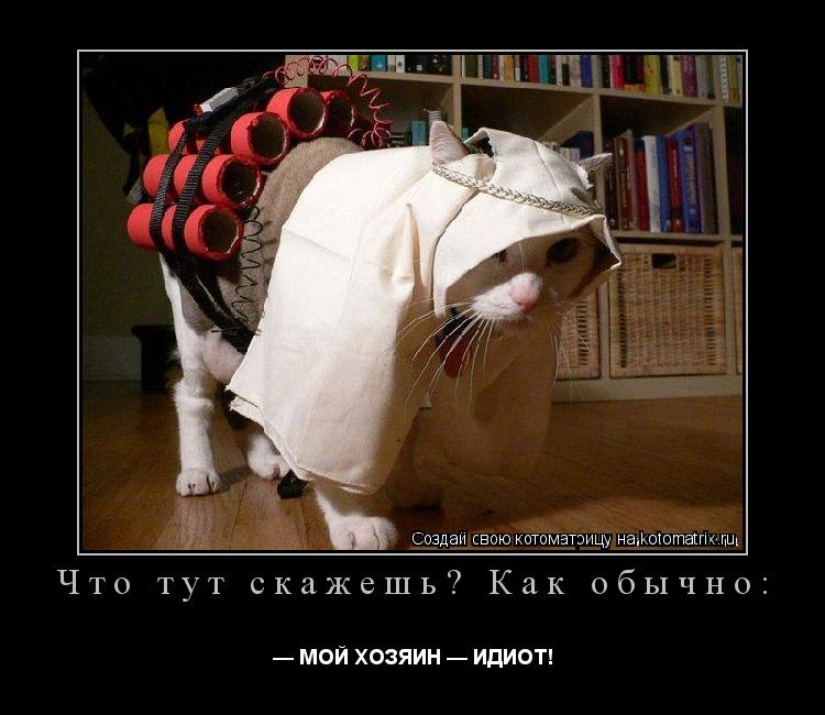 Что тут скажешь? Как обычно: — МОЙ ХОЗЯИН — ИДИОТ!... Котоматрица: Что тут скажешь? Как обычно: — МОЙ ХОЗЯИН — ИДИОТ!