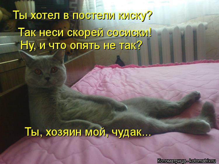 Ты хотел в постели киску? Ну, и что опять не так? Так неси скорей сосиски! Ты, хозяин мой, чудак...... Котоматрица: Ты хотел в постели киску? Ну, и что опять не так? Так неси скорей сосиски! Ты, хозяин мой, чудак...
