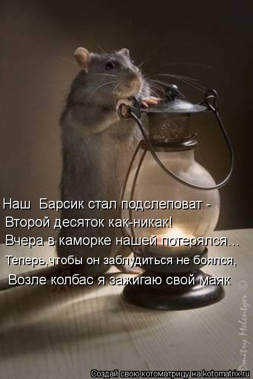Наш Барсик стал подслеповат - Второй десяток как-никак! Вчера в каморке нашей потерялся… Теперь,чт... Котоматрица: Наш Барсик стал подслеповат - Второй десяток как-никак! Вчера в каморке нашей потерялся… Теперь,чтобы он заблудиться не боялся, Возле кол