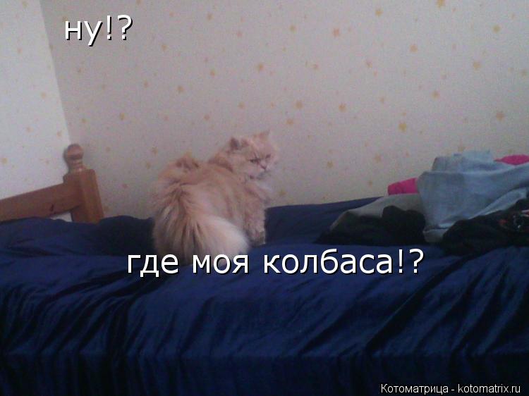 ну!? где моя колбаса!?... Котоматрица: ну!? где моя колбаса!?