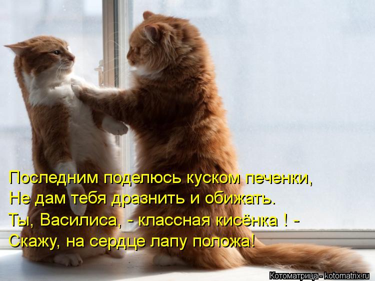 Последним поделюсь куском печенки, Не дам тебя дразнить и обижать. Ты, Василиса, - классная кисёнка !... Котоматрица: Последним поделюсь куском печенки, Не дам тебя дразнить и обижать. Ты, Василиса, - классная кисёнка ! - Скажу, на сердце лапу положа!