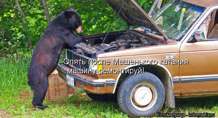 Опять после Машенького катания машину ремонтируй!... Котоматрица: Опять после Машенького катания машину ремонтируй!