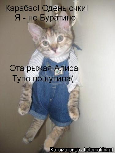 Карабас! Одень очки! Я - не Буратино! Эта рыжая Алиса Тупо пошутила(:... Котоматрица: Карабас! Одень очки! Я - не Буратино! Эта рыжая Алиса Тупо пошутила(: