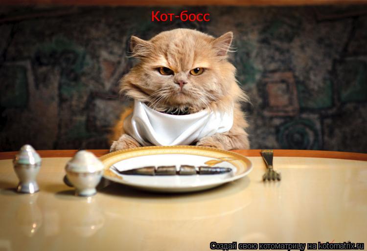 Кот-босс... Котоматрица: Кот-босс