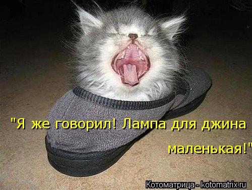 "Я же говорил! Лампа для джина маленькая!"... Котоматрица: "Я же говорил! Лампа для джина маленькая!"