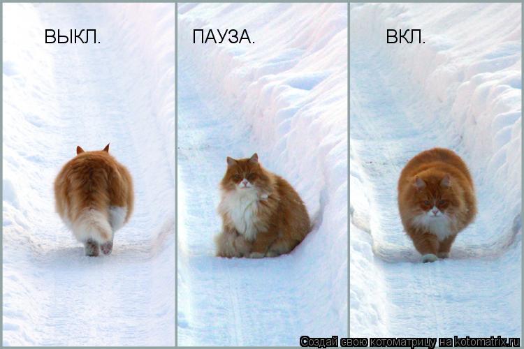 ВЫКЛ. ПАУЗА. ВКЛ.... Котоматрица: ВЫКЛ. ПАУЗА. ВКЛ.