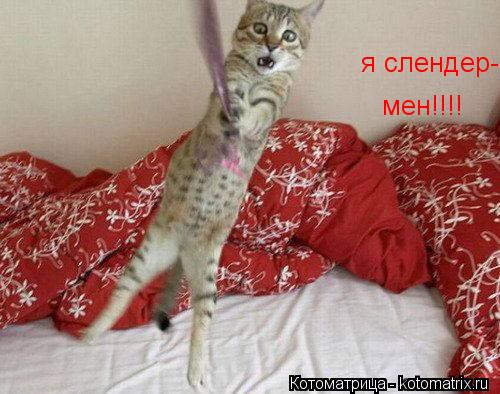 я слендер- мен!!!!... Котоматрица: я слендер- мен!!!!