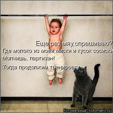 Еще раз,мяу,спрашиваю? Где молоко из моей миски и кусок сосиски? Молчишь, партизан! Тогда продолжим т... Котоматрица: Еще раз,мяу,спрашиваю? Где молоко из моей миски и кусок сосиски? Молчишь, партизан! Тогда продолжим тренировку....