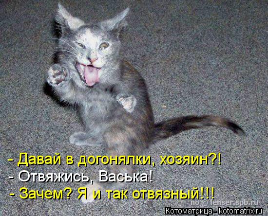 - Давай в догонялки, хозяин?! - Отвяжись, Васька! - Зачем? Я и так отвязный!!!... Котоматрица: - Давай в догонялки, хозяин?! - Отвяжись, Васька! - Зачем? Я и так отвязный!!!