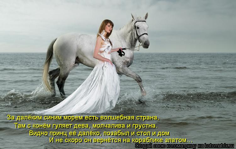 За далёким синим морем есть волшебная страна, Там с конём гуляет дева, молчалива и грустна. Видно при... Котоматрица: За далёким синим морем есть волшебная страна, Там с конём гуляет дева, молчалива и грустна. Видно принц её далёко, позабыл и стол и дом И не с