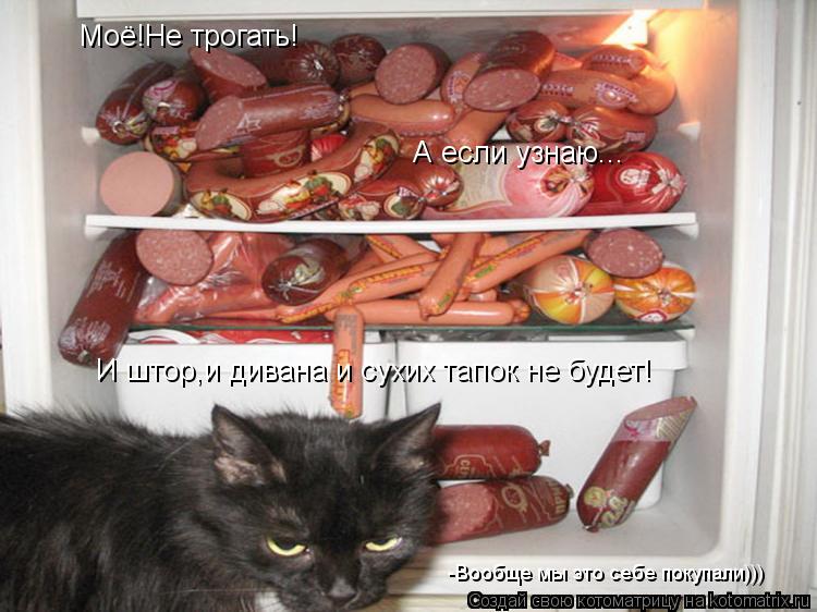 Моё!Не трогать! А если узнаю... И штор,и дивана и сухих тапок не будет! -Вообще мы это себе покупали)... Котоматрица: Моё!Не трогать! А если узнаю... И штор,и дивана и сухих тапок не будет! -Вообще мы это себе покупали)))