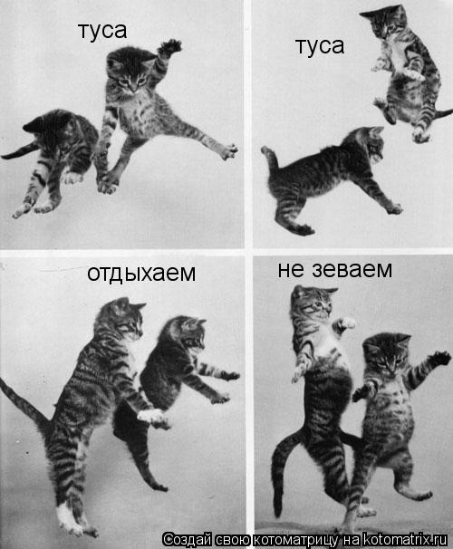 туса туса отдыхаем не зеваем... Котоматрица: туса туса отдыхаем не зеваем