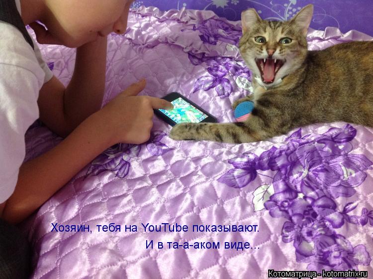Хозяин, тебя на YouTube показывают. И в та-а-аком виде...... Котоматрица: Хозяин, тебя на YouTube показывают. И в та-а-аком виде...