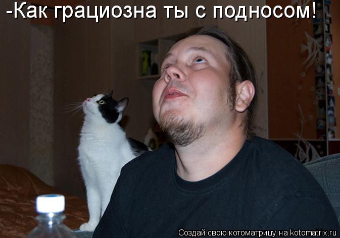 -Как грациозна ты с подносом!... Котоматрица: -Как грациозна ты с подносом!