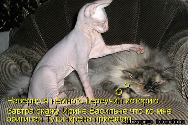 Наверно я немного переучил историю… Завтра скажу Ирине Васильне что ко мне оригинал Тутынхрена приез... Котоматрица: Наверно я немного переучил историю… Завтра скажу Ирине Васильне что ко мне оригинал Тутынхрена приезжал… О о °