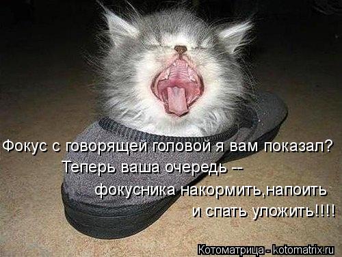 Фокус с говорящей головой я вам показал? Теперь ваша очередь -- фокусника накормить,напоить и спать ... Котоматрица: Фокус с говорящей головой я вам показал? Теперь ваша очередь -- фокусника накормить,напоить и спать уложить!!!!