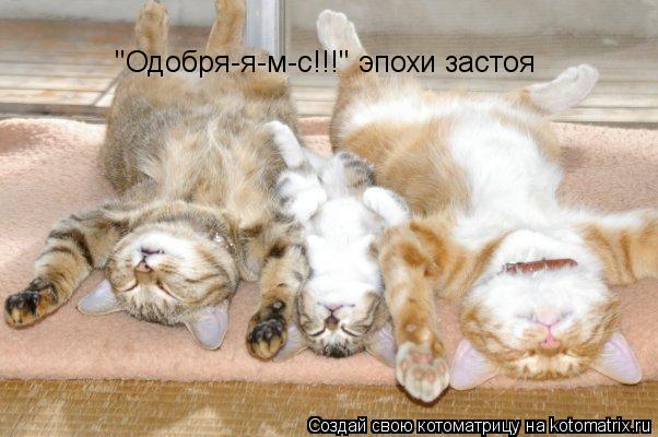 "Одобря-я-м-с!!!" эпохи застоя... Котоматрица: "Одобря-я-м-с!!!" эпохи застоя