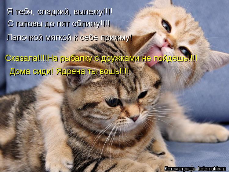 Я тебя, сладкий, вылежу!!!! С головы до пят оближу!!!! Лапочкой мягкой к себе прижму! Сказала!!!!На р... Котоматрица: Я тебя, сладкий, вылежу!!!! С головы до пят оближу!!!! Лапочкой мягкой к себе прижму! Сказала!!!!На рыбалку с дружками не пойдешь!!!! Дома сиди! Ядр