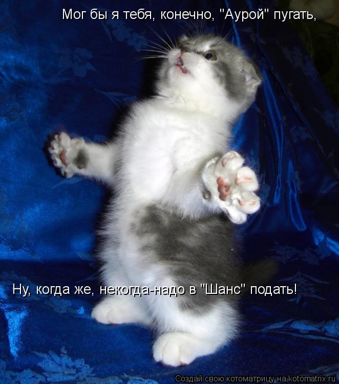 Мог бы я тебя, конечно, "Аурой" пугать, Ну, когда же, некогда-надо в "Шанс" подать!... Котоматрица: Мог бы я тебя, конечно, "Аурой" пугать, Ну, когда же, некогда-надо в "Шанс" подать!
