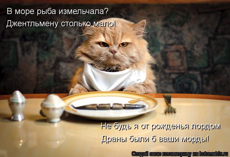 В море рыба измельчала? Джентльмену столько мало! Не будь я от рожденья лордом Драны были б ваши мор... Котоматрица: В море рыба измельчала? Джентльмену столько мало! Не будь я от рожденья лордом Драны были б ваши морды!