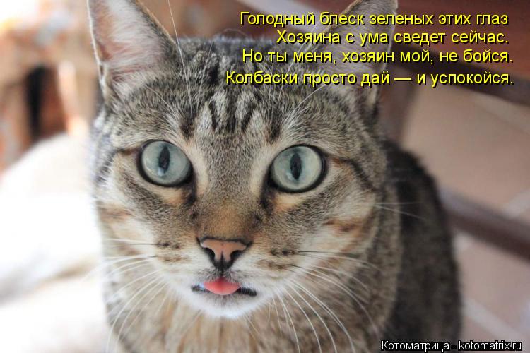 Голодный блеск зеленых этих глаз Хозяина с ума сведет сейчас. Но ты меня, хозяин мой, не бойся. Колба... Котоматрица: Голодный блеск зеленых этих глаз Хозяина с ума сведет сейчас. Но ты меня, хозяин мой, не бойся. Колбаски просто дай — и успокойся.