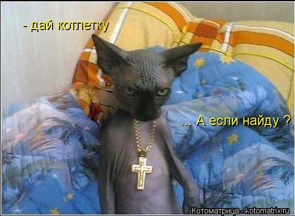 ... А если найду ? - дай котлетку... Котоматрица: ... А если найду ? - дай котлетку