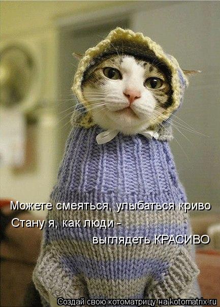 Можете смеяться, улыбаться криво Стану я, как люди - выглядеть КРАСИВО... Котоматрица: Можете смеяться, улыбаться криво Стану я, как люди - выглядеть КРАСИВО