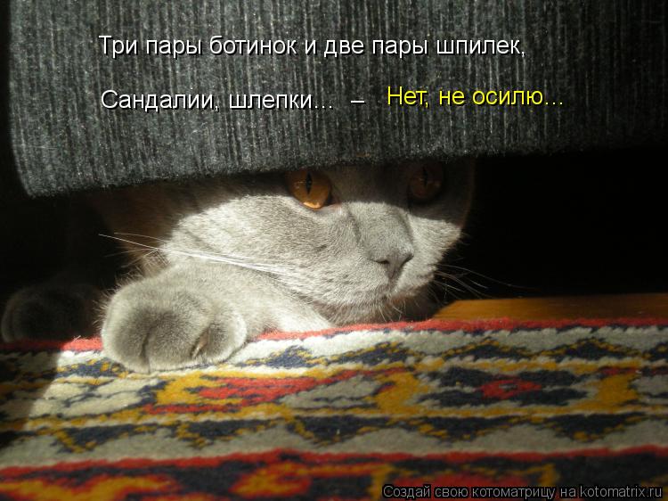 Три пары ботинок и две пары шпилек, Сандалии, шлепки… – Нет, не осилю…... Котоматрица: Три пары ботинок и две пары шпилек, Сандалии, шлепки… – Нет, не осилю…