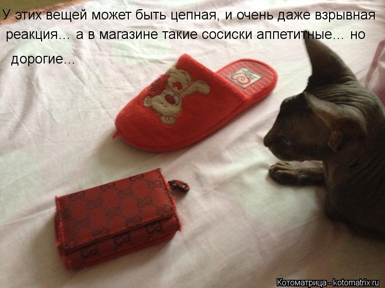 У этих вещей может быть цепная, и очень даже взрывная реакция… а в магазине такие сосиски аппетитные…... Котоматрица: У этих вещей может быть цепная, и очень даже взрывная реакция… а в магазине такие сосиски аппетитные… но дорогие…