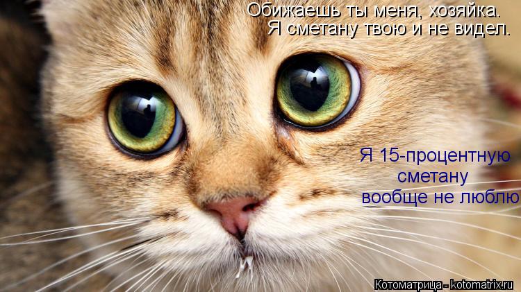 Обижаешь ты меня, хозяйка. Я сметану твою и не видел. Я 15-процентную сметану вообще не люблю.... Котоматрица: Обижаешь ты меня, хозяйка. Я сметану твою и не видел. Я 15-процентную сметану вообще не люблю.