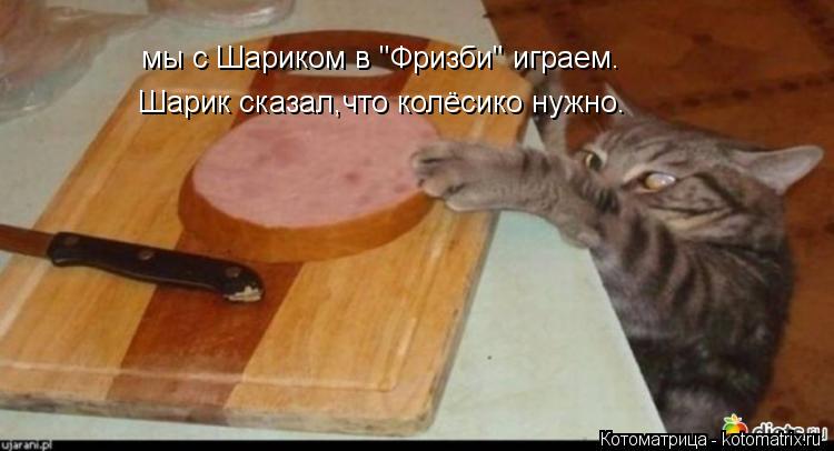 мы с Шариком в "Фризби" играем. Шарик сказал,что колёсико нужно.... Котоматрица: мы с Шариком в "Фризби" играем. Шарик сказал,что колёсико нужно.