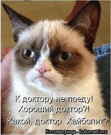 К доктору не поеду! Хороший доктор?! Какой, доктор Хайболит?... Котоматрица: К доктору не поеду! Хороший доктор?! Какой, доктор Хайболит?