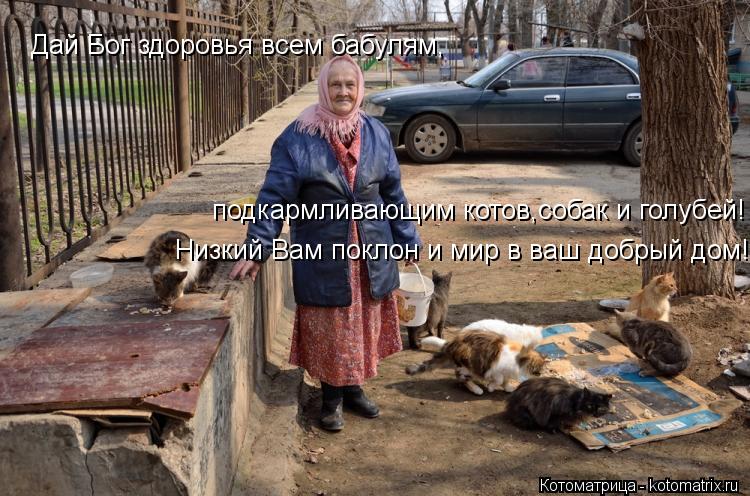 Дай Бог здоровья всем бабулям, подкармливающим котов,собак и голубей! Низкий Вам поклон и мир в ваш д... Котоматрица: Дай Бог здоровья всем бабулям, подкармливающим котов,собак и голубей! Низкий Вам поклон и мир в ваш добрый дом!