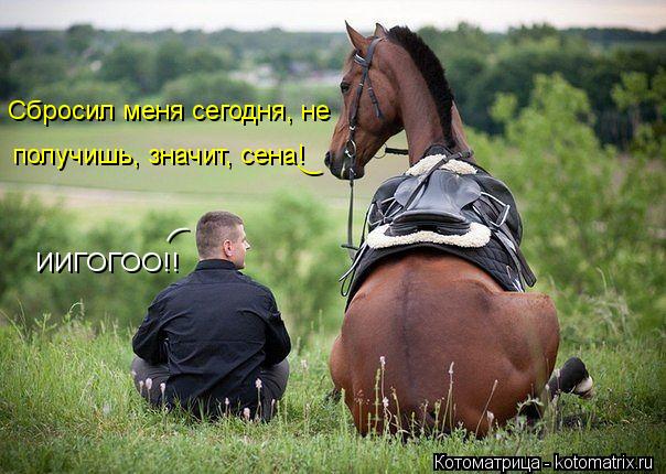 Сбросил меня сегодня, не получишь, значит, сена! ( ИИГОГОО!! (... Котоматрица: Сбросил меня сегодня, не получишь, значит, сена! ( ИИГОГОО!! (