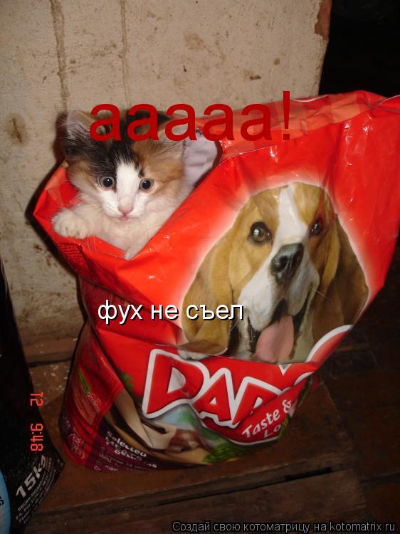 ааааа! фух не съел... Котоматрица: ааааа! фух не съел