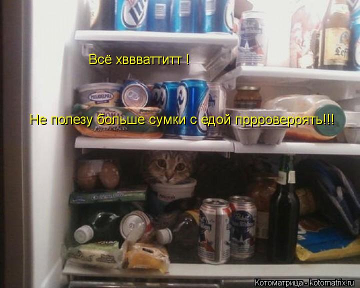 Всё хввваттитт ! Не полезу больше сумки с едой пррроверрять!!!... Котоматрица: Всё хввваттитт ! Не полезу больше сумки с едой пррроверрять!!!
