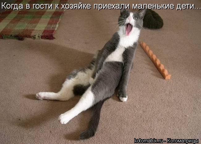 Когда в гости к хозяйке приехали маленькие дети...... Котоматрица: Когда в гости к хозяйке приехали маленькие дети...