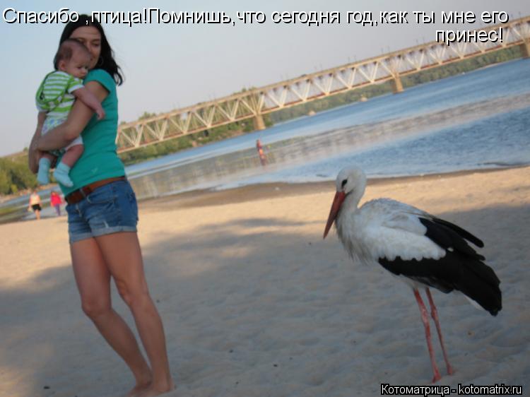 Спасибо ,птица!Помнишь,что сегодня год,как ты мне его принес!... Котоматрица: Спасибо ,птица!Помнишь,что сегодня год,как ты мне его принес!